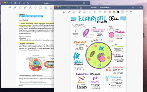 筆記就是生產(chǎn)力 打造高效創(chuàng)意工作流的Mac筆記軟件指南