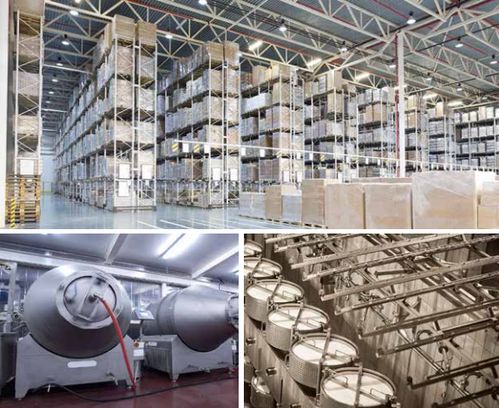 因為這個小東西，我被辦公室的美女們圍了一上午