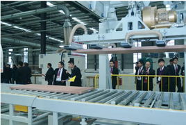 2014大自然木門經銷商大會暨泰州新廠盛典 互聯網銷售戰略啟新篇